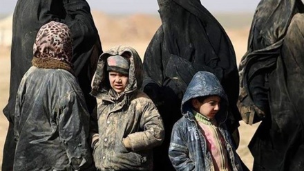 Fuite de milliers de prisonniers de Daech 