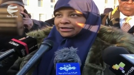 Why Marzieh Hashemi? 