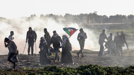 43 heridos en 43.ª jornada de Gran Marcha del Retorno(vídeo+fotos)
