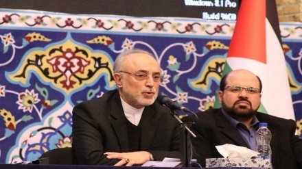 Salehi: dünýä derejesinde Eýran garaşsyz ýurtdyr