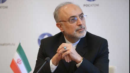 イラン原子力庁長官、「米大統領補佐官は、これまで真実の言葉を発していない」