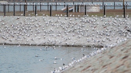Danau Chitgar di Awal Musim Dingin (2)