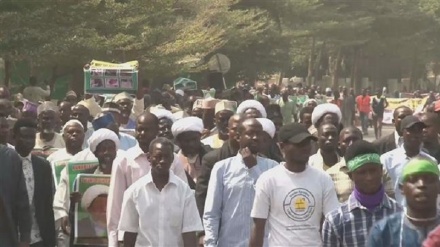 Islamic Movement in Nigeria rally to condemn Zaria massacre