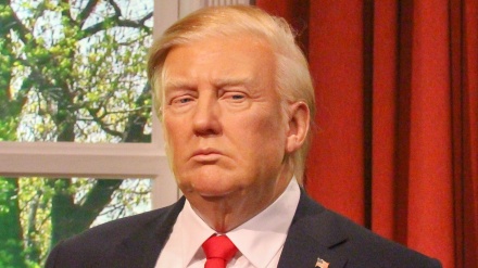 פשיטת הרגל האינטלקטואלית של טראמפ