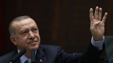 Siria, Erdogan vuole 