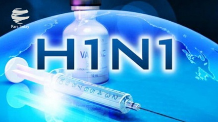 Грузияда чўчқа гриппи эпидемияси натижасида ҳаётдан кўз юмганлар кўпаймоқда