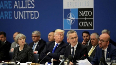 Putin se acerca a un sueño: Trump impulsa salida de EEUU de OTAN