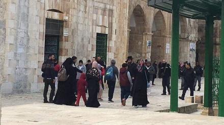 Dari Lorong al-Quds Menuju Masjid al-Aqsa