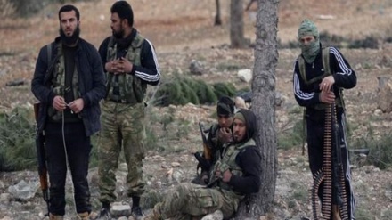 Shpërbëhet grupi terrorist Zaneki në Siri