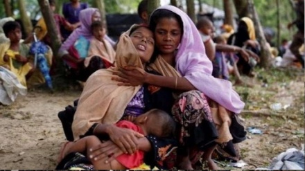 रोहिंग्या शरणार्थियों को म्यांमार भेजने पर संयुक्त राष्ट्र संघ की भारत को फटकार