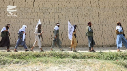 तालिबान व अमरीका के मध्य बैठक रद्द! 