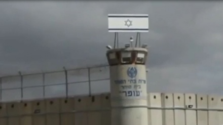 Hirup Udara Bebas, Hamed Langsung Peluk Ibunya