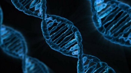 پیش بینی عمر با آزمایش DNA