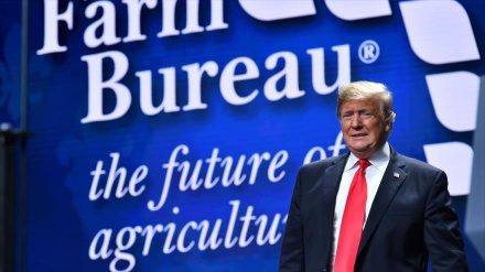 Trump elogia a Bolsonaro: ‘el Donald Trump de Sudamérica’