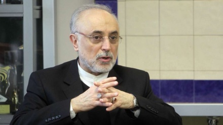 Salehi: Irani është i gatshëm të bashkëpunojë me vendet e rajonit në fushën atomike