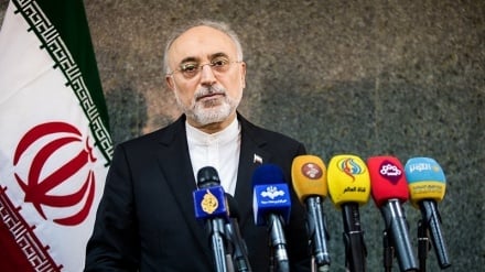 סאלחי: החלטותינו בנוגע להסכם הגרעין שקולות