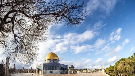 Bercengkerama dengan Merpati di Qubbat al-Sakhra