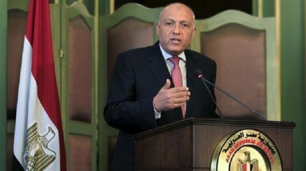 Syria's return to Arab League depends on political progress: Egypt's FM