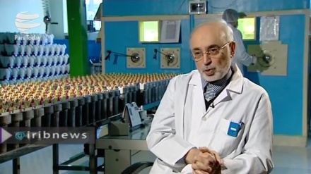Иран ғалымдары 20 пайыздық жаңа ядролық отын жобалауда табысқа жетті