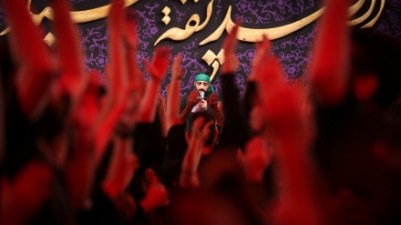 Especial con motivo del martirio de Hazrat Fátima (saludos sea para ella)