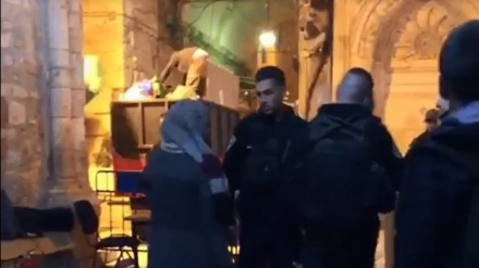 Pasukan Zionis Tangkap Gadis Palestina