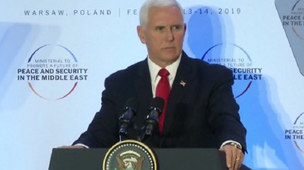 סגן נשיא ארה