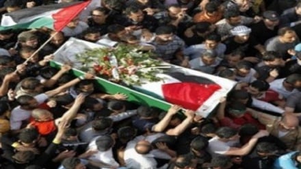 شهادت 372 فلسطینی از زمان اعلام تصمیم آمریکا علیه قدس