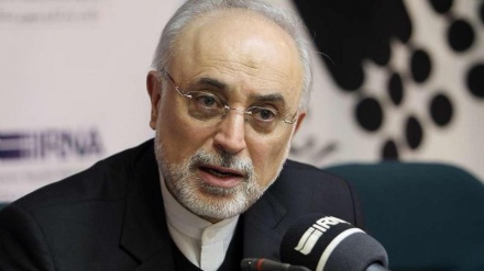 イラン原子力庁長官、「イランは核技術の全ての分野に開発能力」