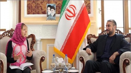 Abdollahian: Kebijakan Iran, Membantu Stabilitas dan Keamanan Global