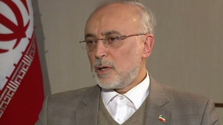 סאלחי: איראן מסוגלת לחדש פעילות הגרעין ברמה מפותחת