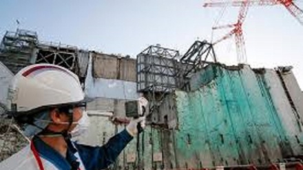 Fukushima: cesio radioattivo in pesce