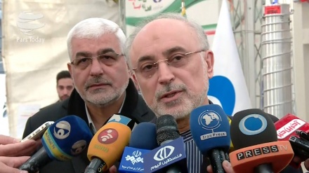 Salehi: ýadro proýektleri baradaky Eýran-Ýewropanyň hyzmatdaşlyklary dowam edýär