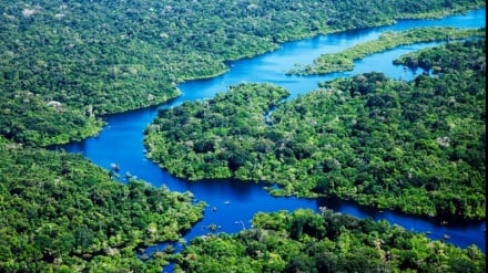 SAUTI, Serikali za Kiafrika zimetakiwa kuacha kutoa maneno matupu bali zifanye vitendo kulinda mazingira