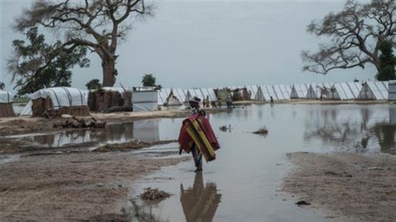 Boko Haram kills 60 in northeast Nigeria: Amnesty