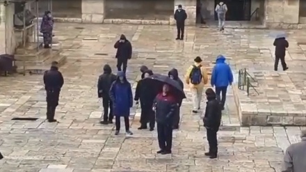 Pemukim Zionis Ekstrem Masuk ke Kompleks Masjid al-Aqsa