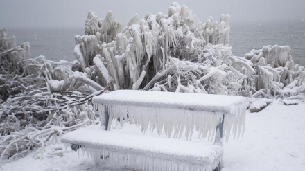 (FOTO DEL GIORNO) No comment