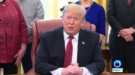 טראמפ: אפעל בעצמי לקידום בניית החומה בגבול מקסיקו