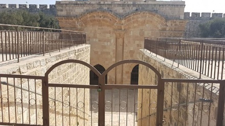 Anak-anak Palestina Bersihkan Area Bab al-Rahmah 