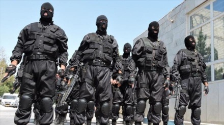 Inteligencia iraní captura a 13 terroristas de Daesh