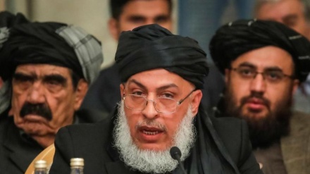 Толибон: АҚШ ҳарбийларидан ярими Афғонистондан чиқарилади