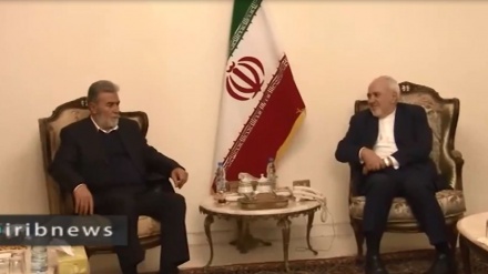 Zarif Tegaskan Kembali Dukungan Iran kepada Palestina