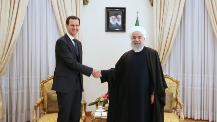 鲁哈尼：德黑兰与大马士革之间的关系建立在团结和兄弟情谊的基础上