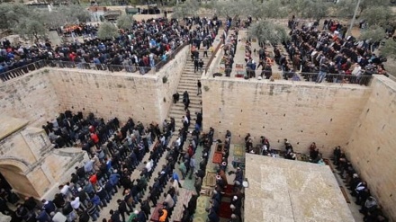 Warga Palestina Bertekad Lindungi Masjid al-Aqsa