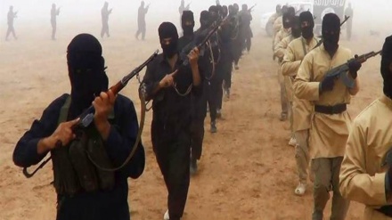 20 לוחמי דאעש מתוכם 14 צרפתים, הועברו לעיראק