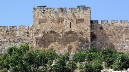 אחמד טיבי הביע שביעות רצון מפתיחת שער אלרחמה