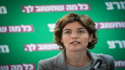 מרצ ביקשה מוועדת הבחירות המרכזית לפסול 