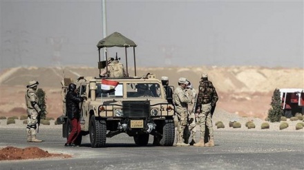 Egyptian security forces kill seven militants in North Sinai: Military