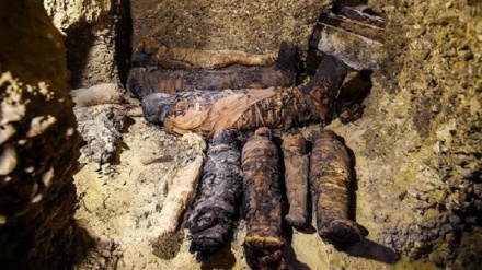 Burial site of fifty mummies discovered in Egypt