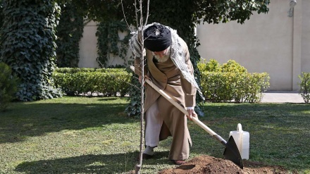 Líder iraní subraya protección de árboles y medio ambiente+fotos