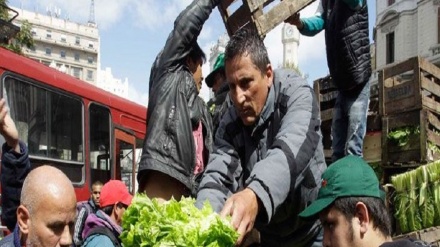  Agricultores argentinos regalan verduras a gente como protesta (video)